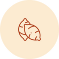 Sweet Potato